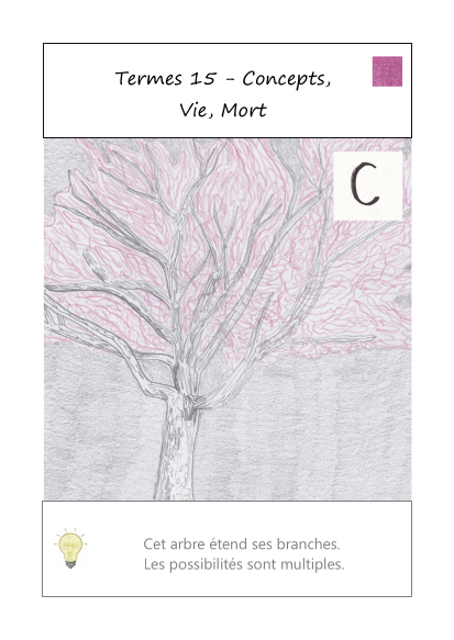 carte terme-mantras 15