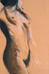 pastel 2002