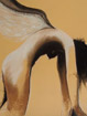 pastel cd